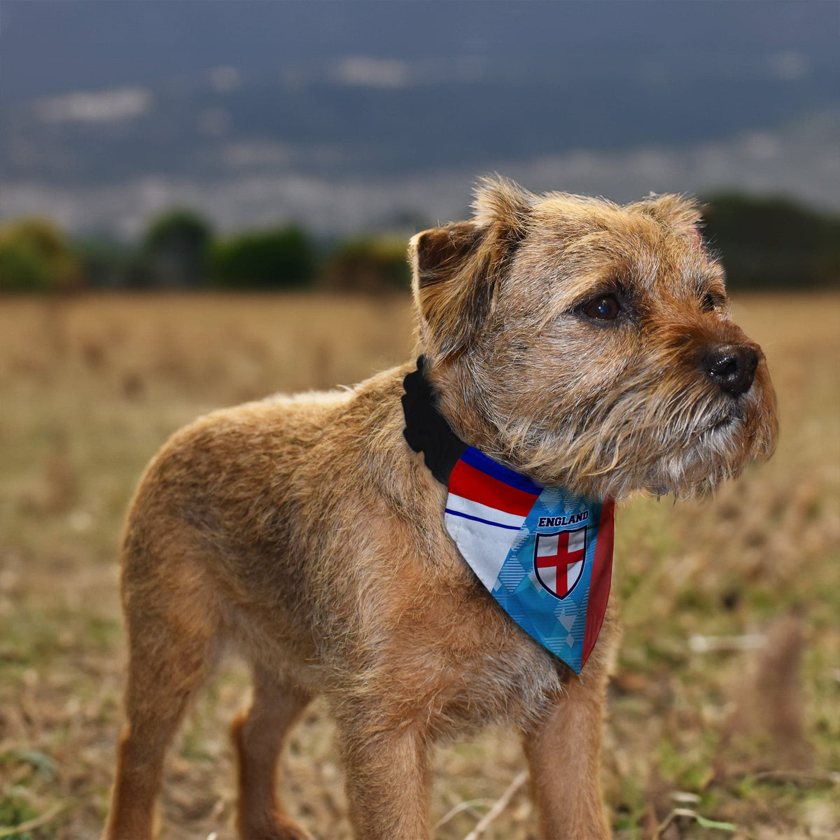 England Printed Patchwork Shirts - Dog Bandana - 4 Sizes