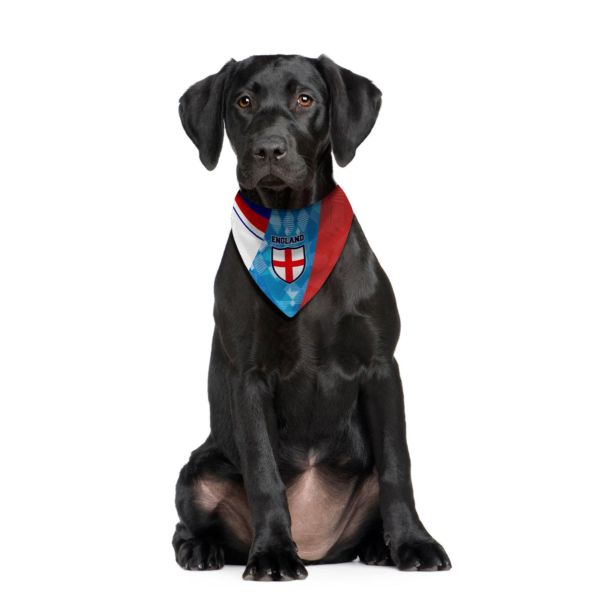 England Printed Patchwork Shirts - Dog Bandana - 4 Sizes