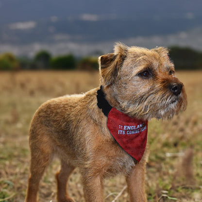 England Red Lion Pattern - Dog Bandana - 4 Sizes