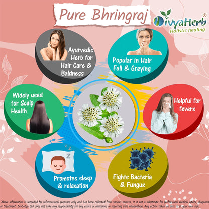 DivyaHerb Bhringraj Powder 100 gram - Hair & Scalp Support