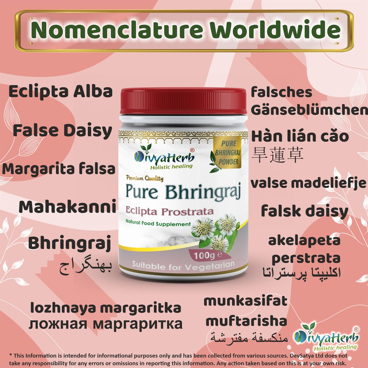 DivyaHerb Bhringraj Powder 100 gram - Hair & Scalp Support
