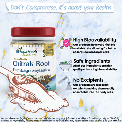 DivyaHerb Chitrak Root Powder 100 gram - Daily Wellness Support