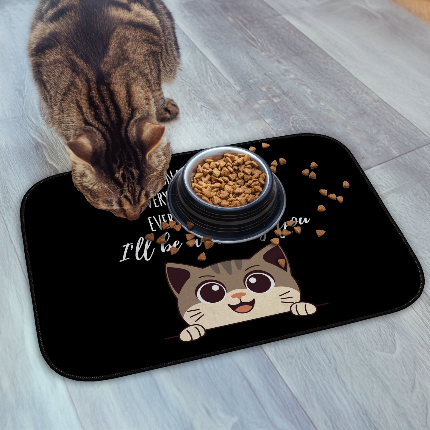 Every snack you make Funny Lyrics - Pet food Mat - Choose your Cat!