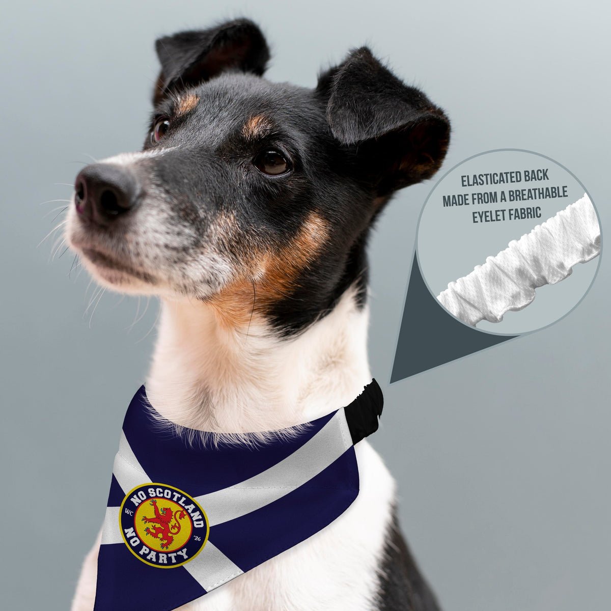 No Scotland No Party - Saltire - Dog Bandana - 4 Sizes