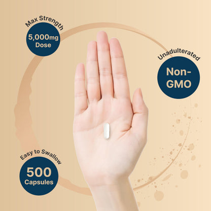 NatureBell Creatine Monohydrate Capsules – 5,000mg per Serving, 500 Count | Unflavored Micronized