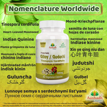 Aushadh Guduchi with Amla Capsules (Giloy, Tinospora Cordifolia) Immune Wellness & Antioxidant Support - Vegan, Gluten Free, Non-GMO, 60 Capsules