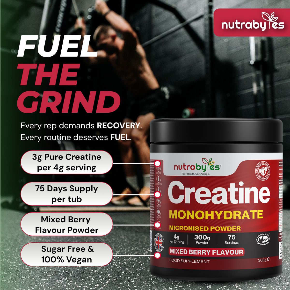Flavoured Creatine Monohydrate, 300g Mixed Berry
