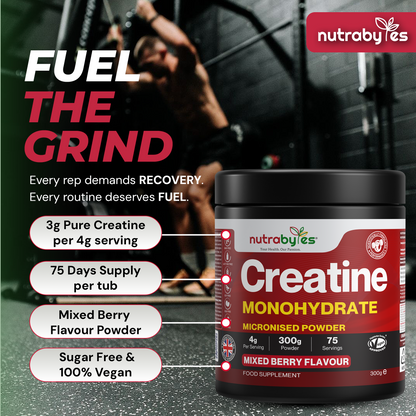 Flavoured Creatine Monohydrate, 300g Mixed Berry