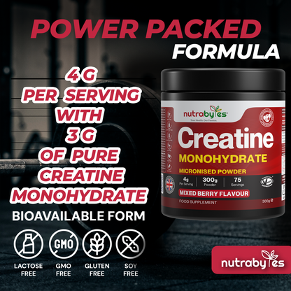 Flavoured Creatine Monohydrate, 300g Mixed Berry