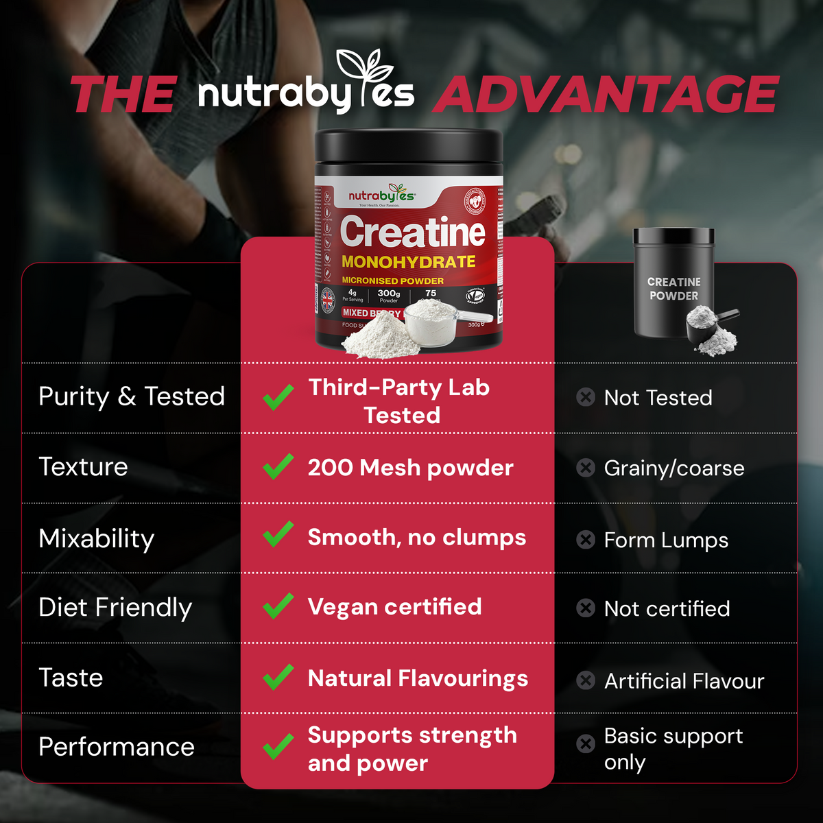 Flavoured Creatine Monohydrate, 300g Mixed Berry