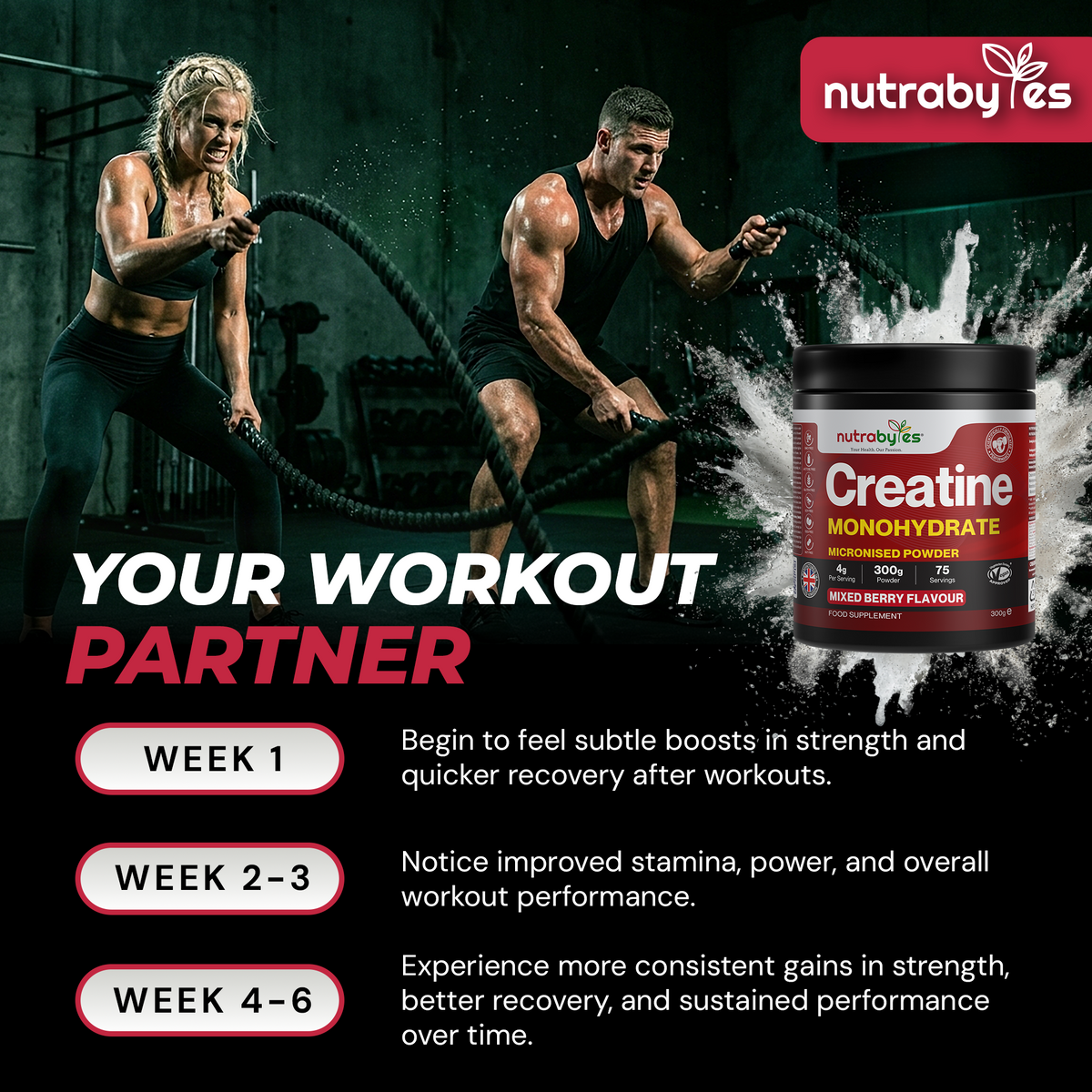 Flavoured Creatine Monohydrate, 300g Mixed Berry