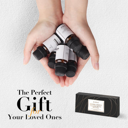 JCLOUD Hotel Diffuser Oils Set — Top 6 Luxury Hotel-Inspired Essential Oils (6x10mL)