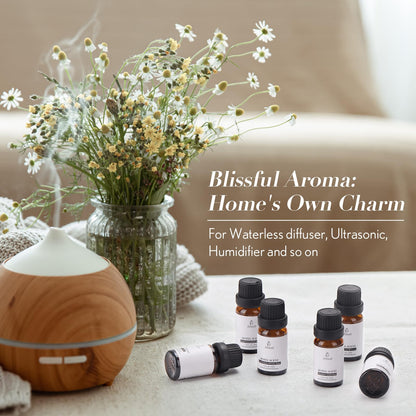 JCLOUD Hotel Diffuser Oils Set — Top 6 Luxury Hotel-Inspired Essential Oils (6x10mL)