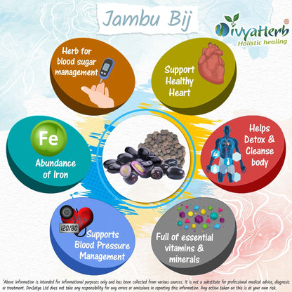 DivyaHerb Jambu Bij Powder 100 gram - Daily Wellness Support