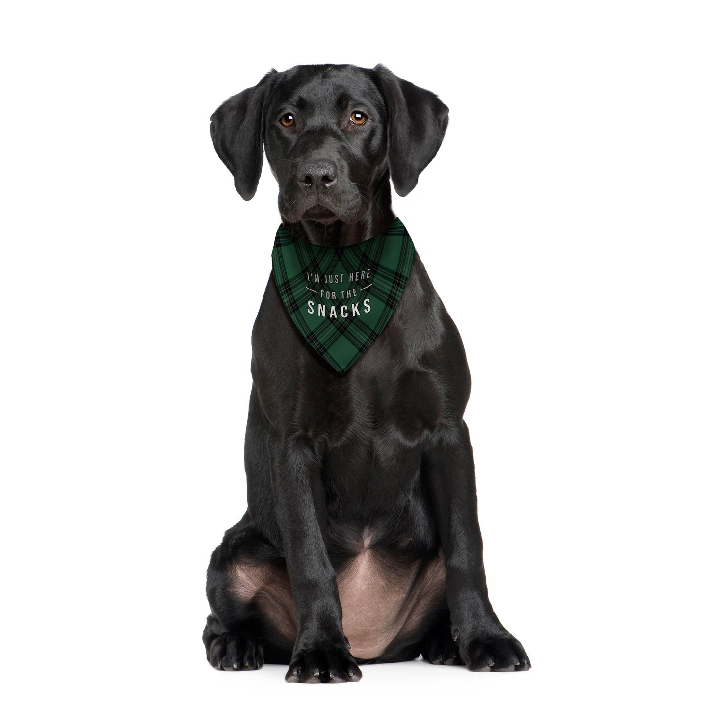 Just Here For The Snacks - Green Tartan - Dog Bandana - 4 Sizes