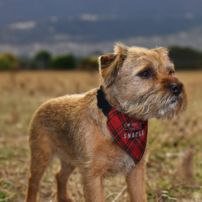 Just Here For The Snacks - Red Tartan - Dog Bandana - 4 Sizes