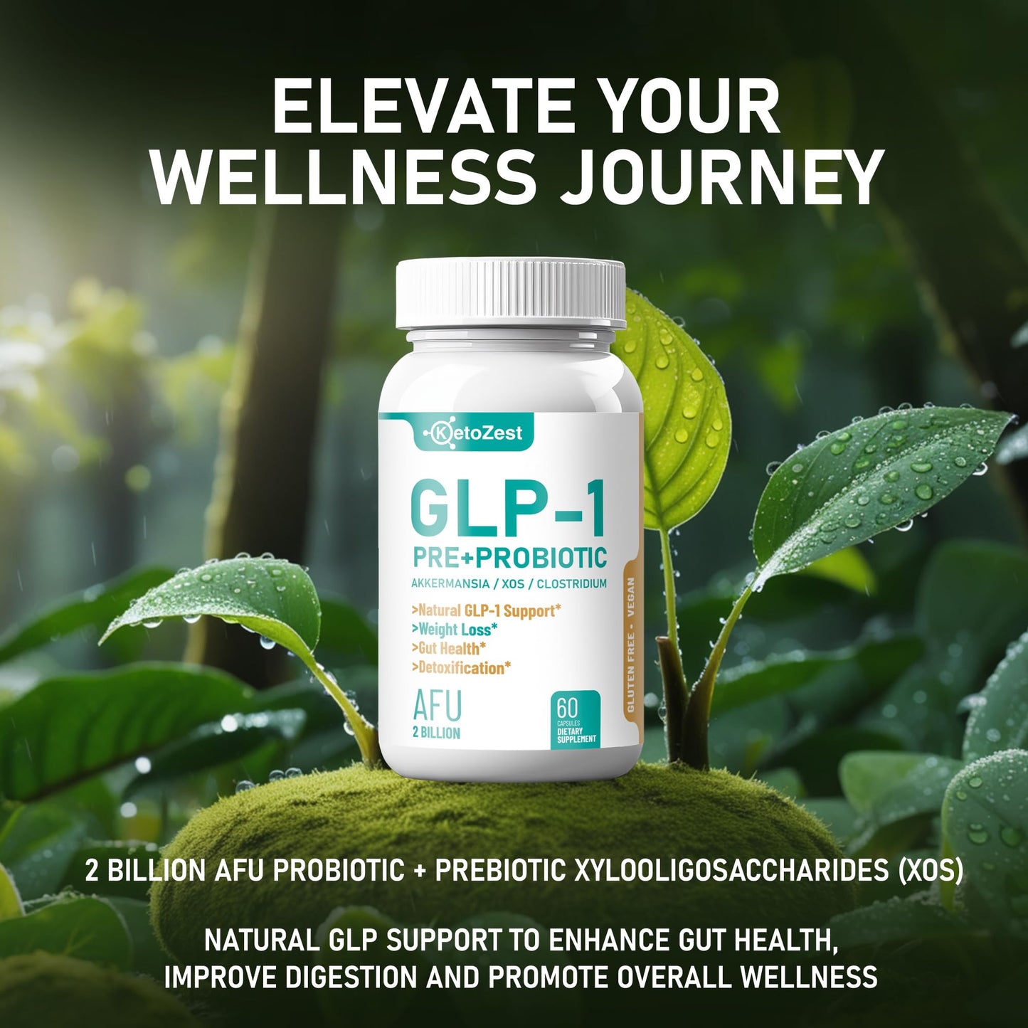 KetoZest GLP-1 Booster Probiotic + Prebiotic for Weight Loss | Akkermansia Muciniphila