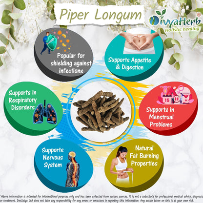 DivyaHerb Piper Longum Powder 100 gram - Digestive Comfort Support