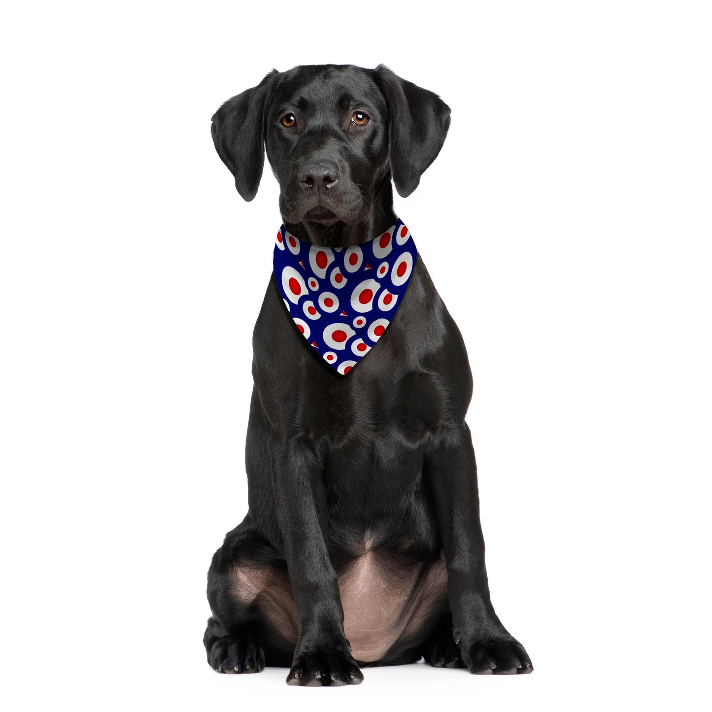 MOD - Blue - Dog Bandana - 4 Sizes