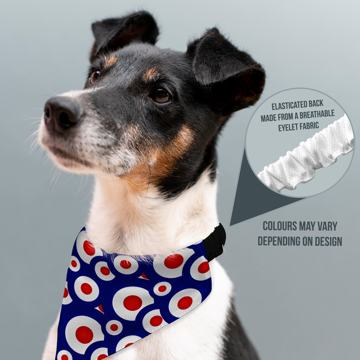 MOD - Blue - Dog Bandana - 4 Sizes