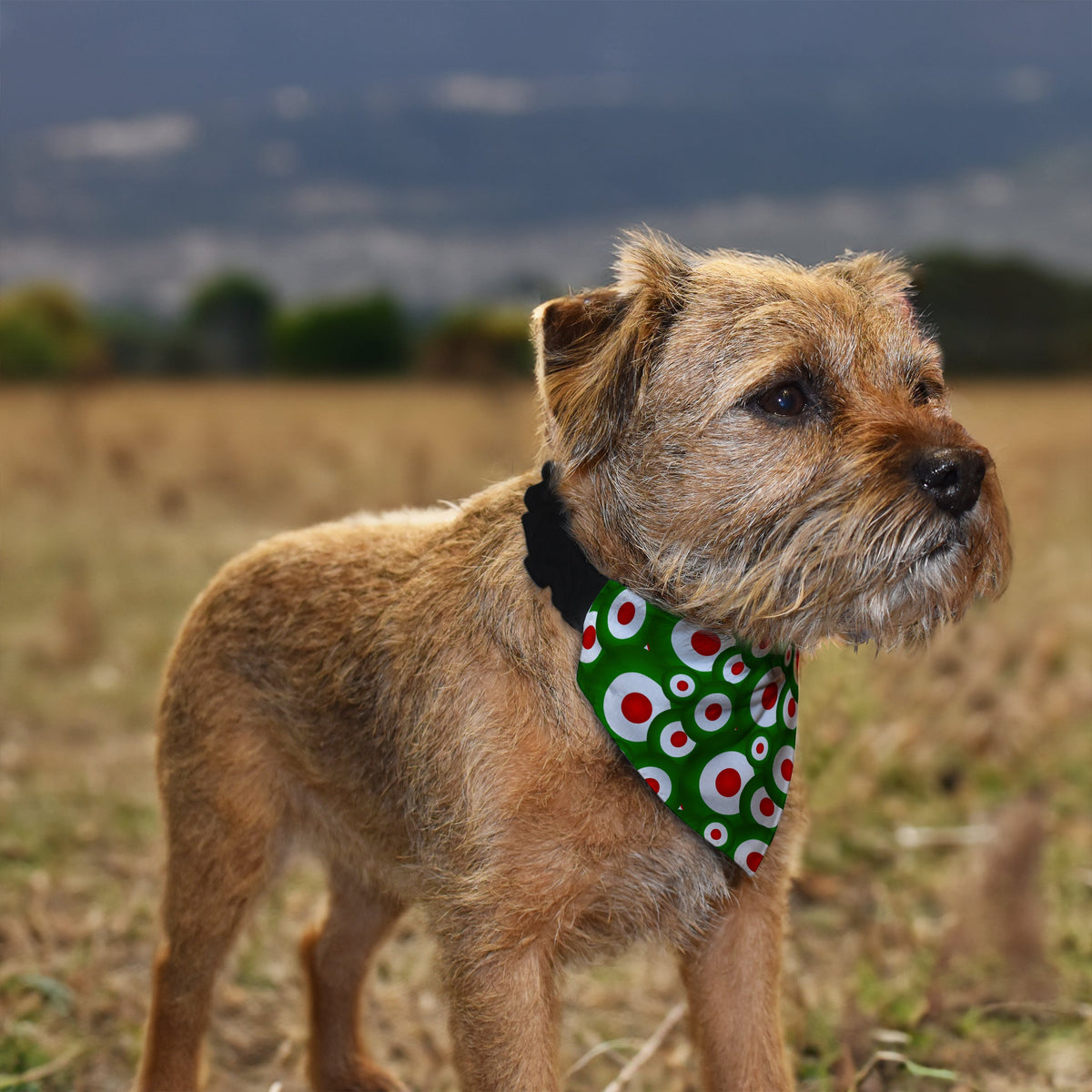 MOD - Green - Dog Bandana - 4 Sizes