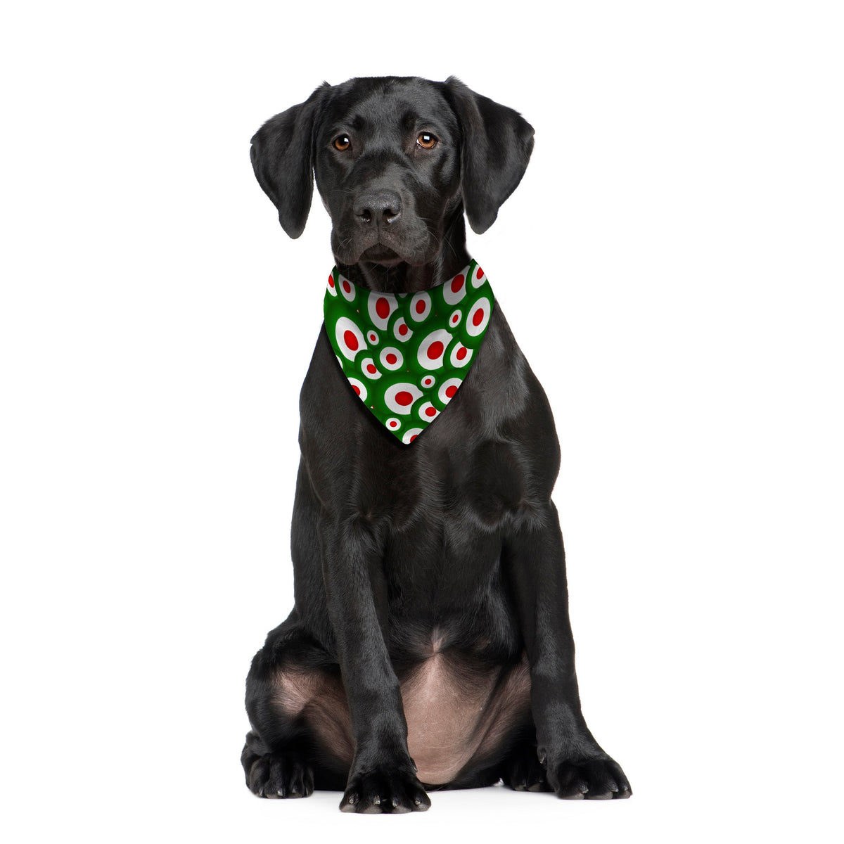 MOD - Green - Dog Bandana - 4 Sizes
