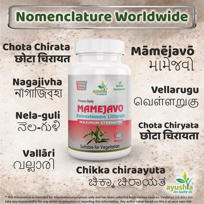 Ayushya Mamejavo Capsules (Enicostemma) Liver & Metabolic Wellness Support - Vegan, Gluten Free, Non-GMO, 60 Capsules