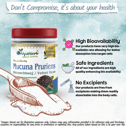 DivyaHerb Mucuna Pruriens Powder 100 gram - Daily Vitality Support
