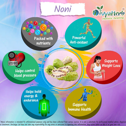 DivyaHerb Noni Powder 100 gram - Daily Wellness Support