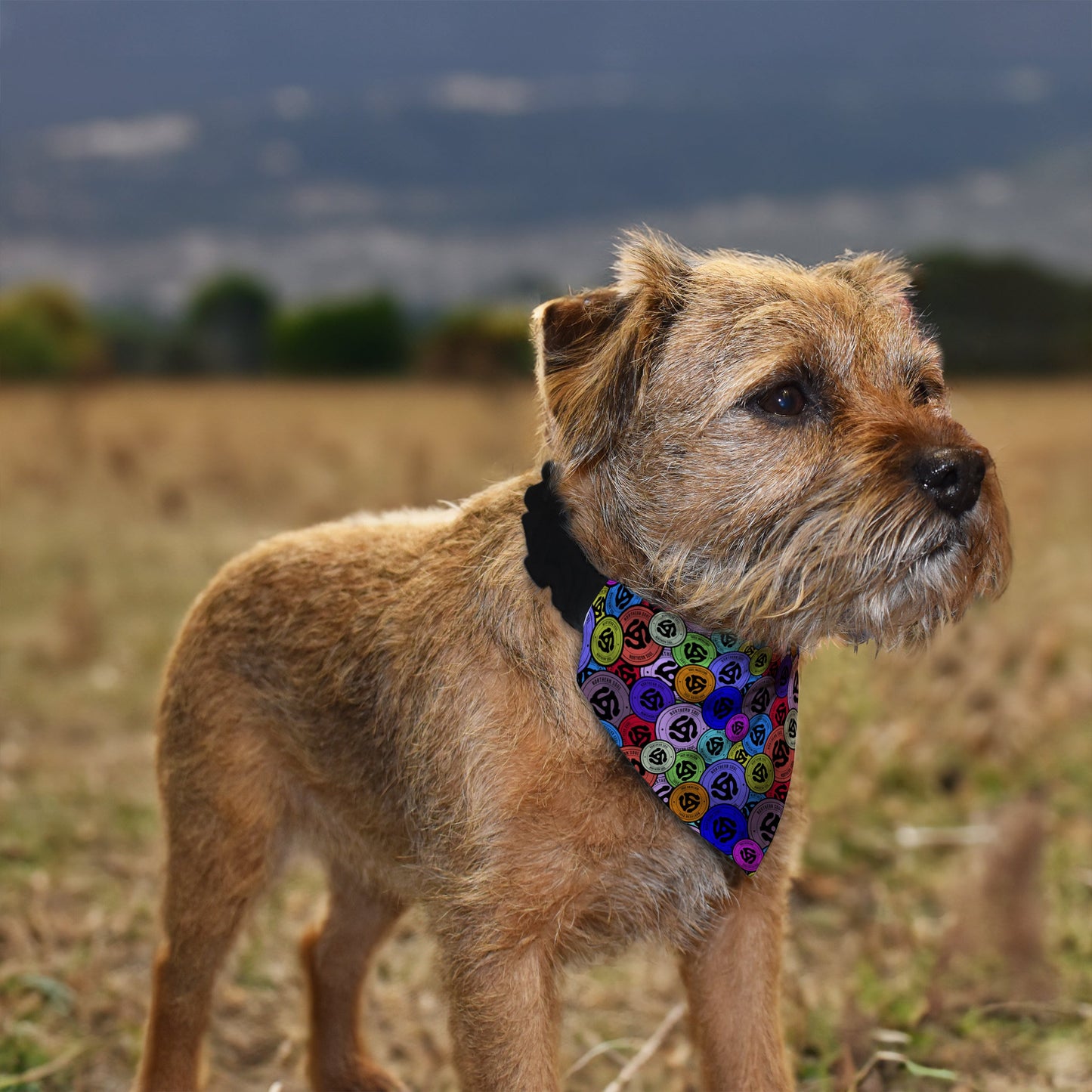 Northern Soul - Record Spindle - Dog Bandana - 4 Sizes