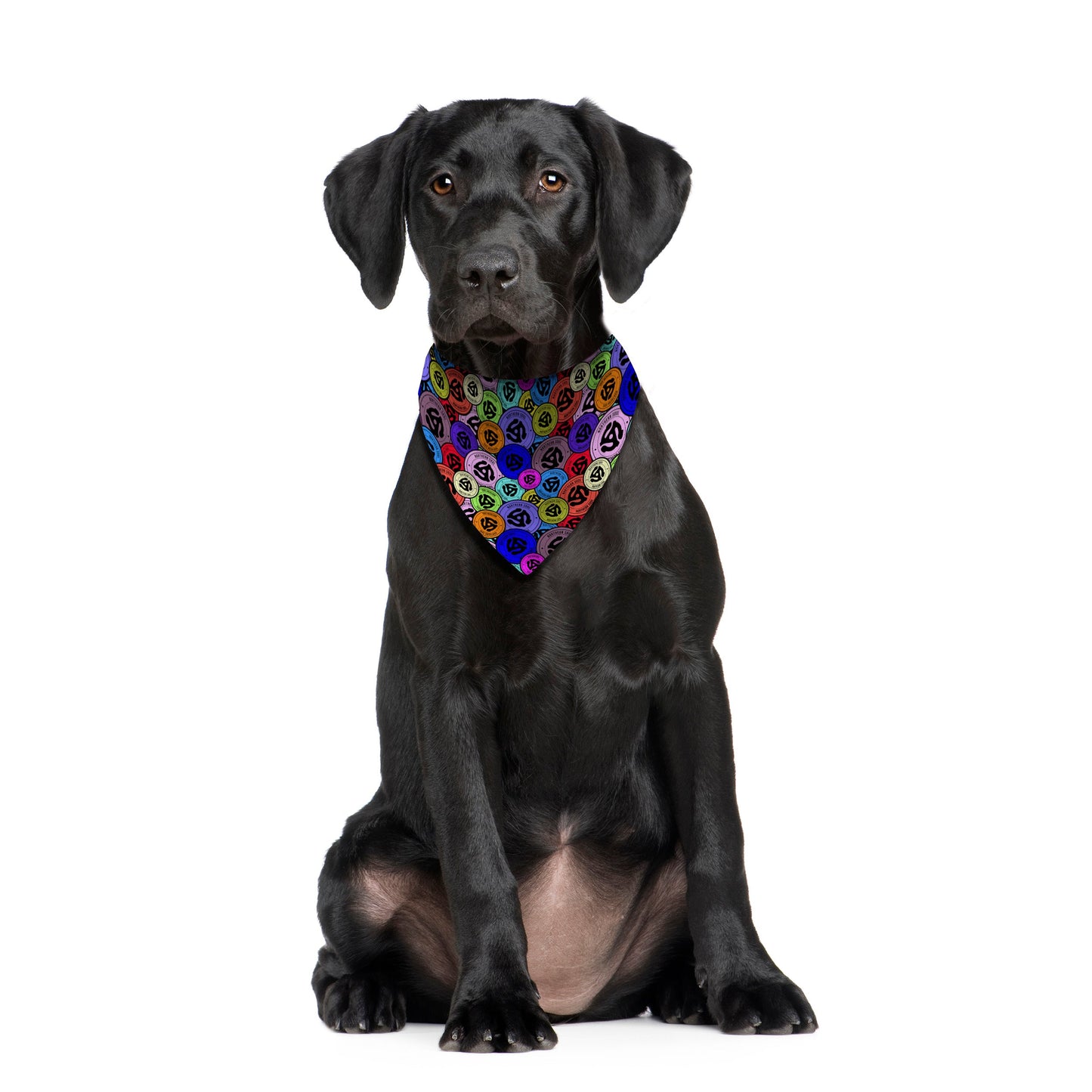Northern Soul - Record Spindle - Dog Bandana - 4 Sizes