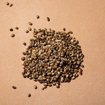 Organic Hemp Seeds