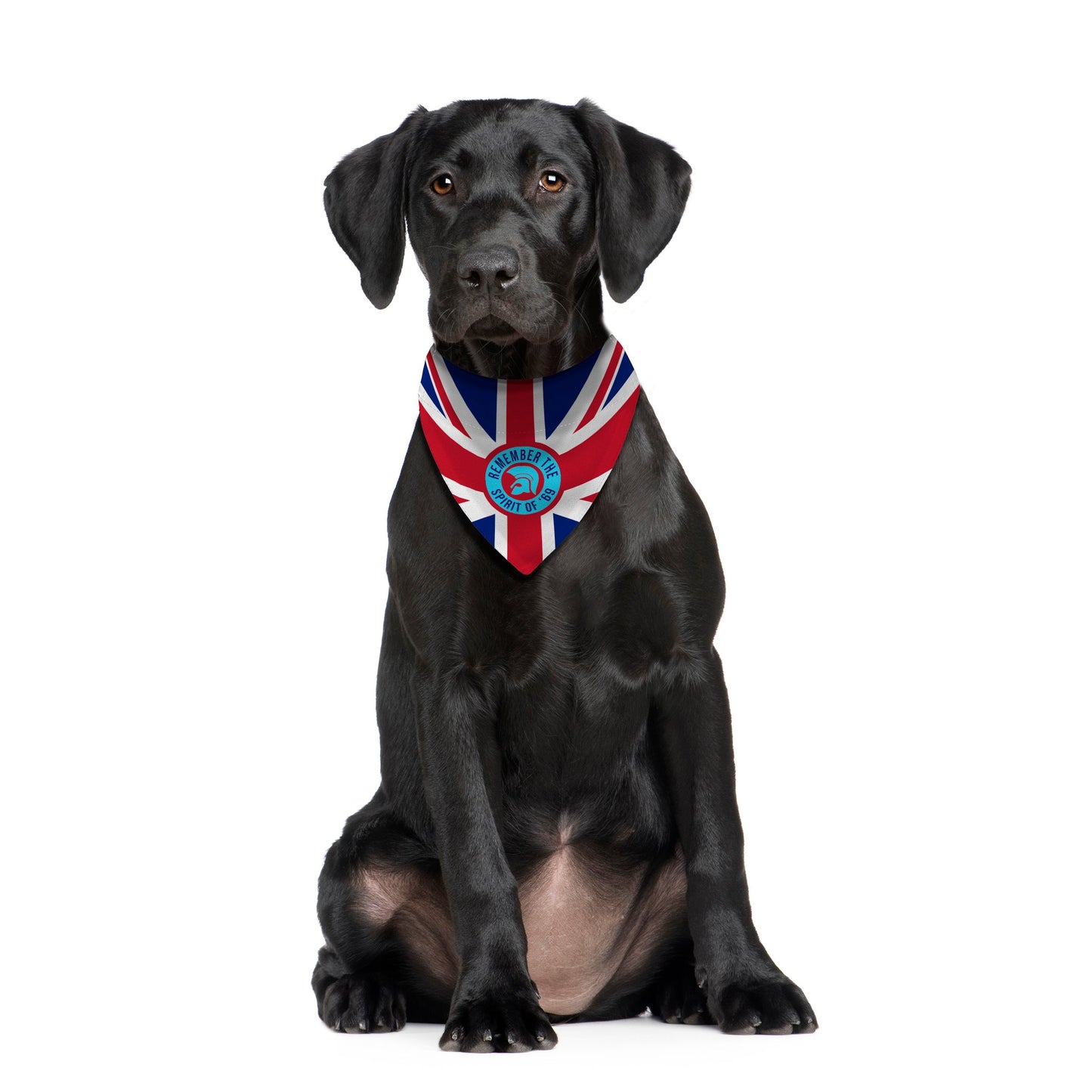Remember The Spirit Of 69 - Blue - Dog Bandana - 4 Sizes