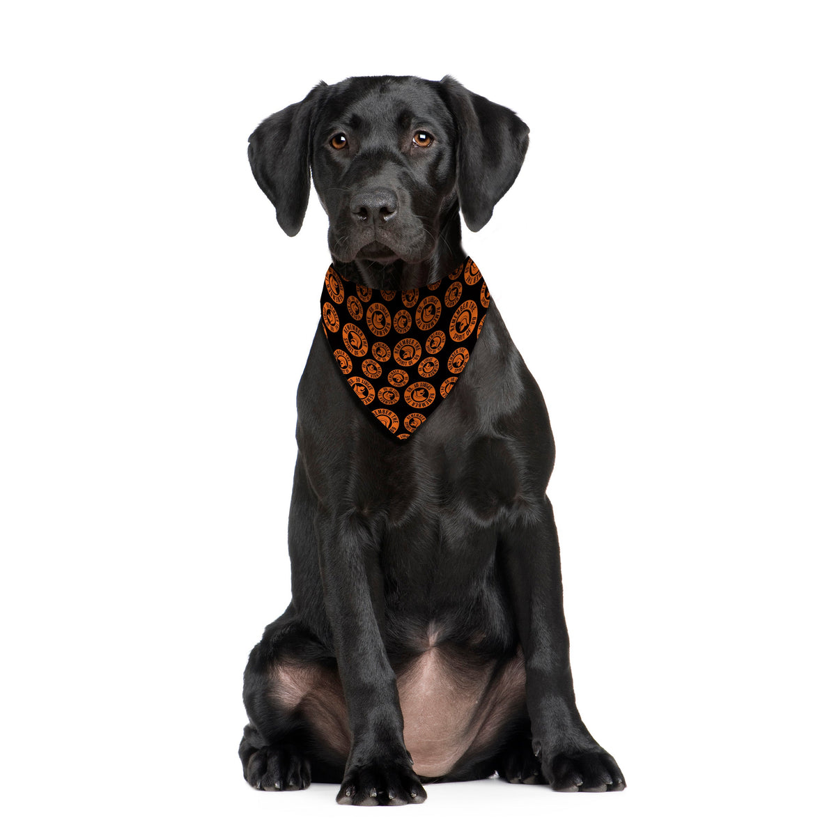 Remember The Spirit Of 69 - Orange - Dog Bandana - 4 Sizes