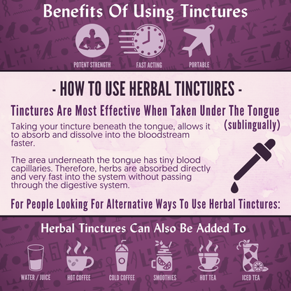 Organic Ginkgo Leaf Tincture - CIRCULATION, COGNITIVE FUNCTION, ANTIOXIDANT