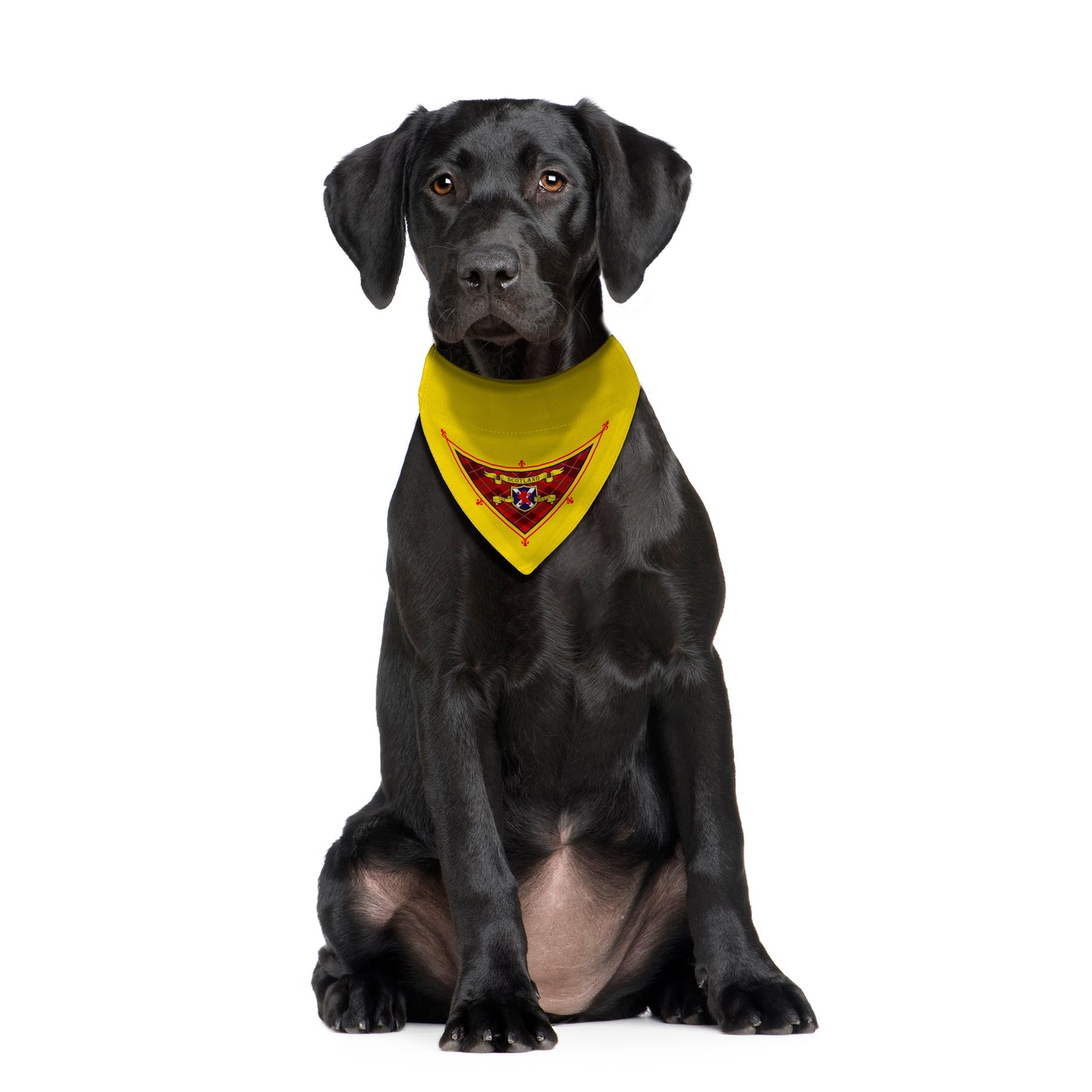 Scotland The Brave - Dog Bandana - 4 Sizes