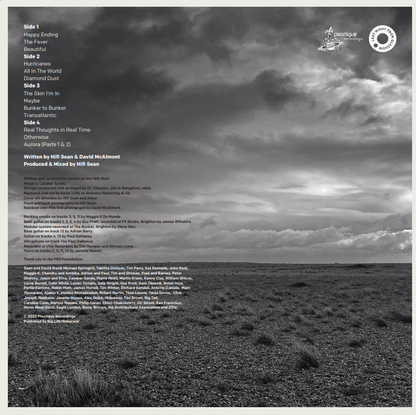 HiFi Sean & David McAlmont - Happy Ending (2 x Vinyl LP)
