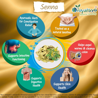 DivyaHerb Senna Leaves Powder 100 gram - Bowel Regularity Support
