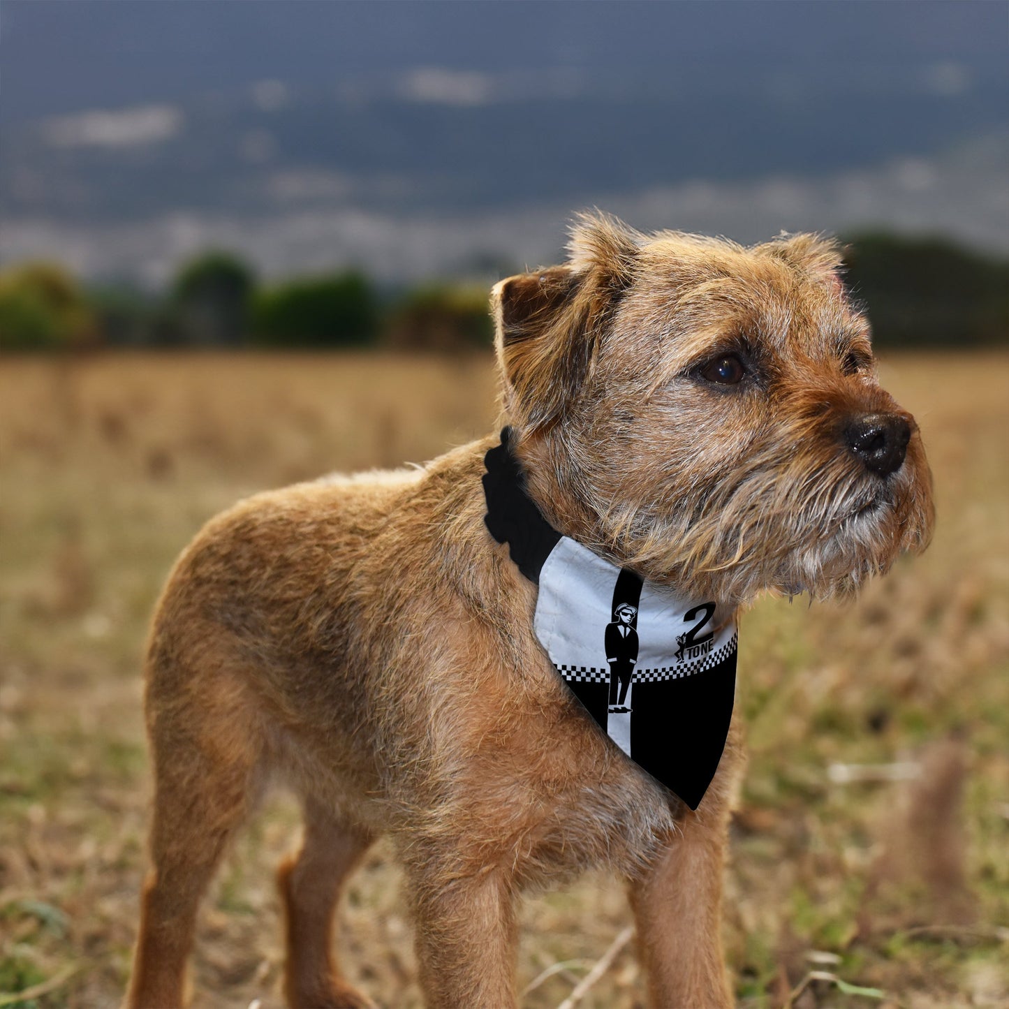 Ska 2 Tone - Dog Bandana - 4 Sizes