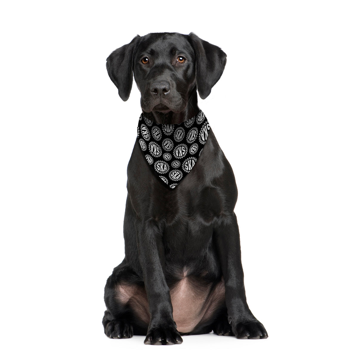 Ska Checks - Dog Bandana - 4 Sizes