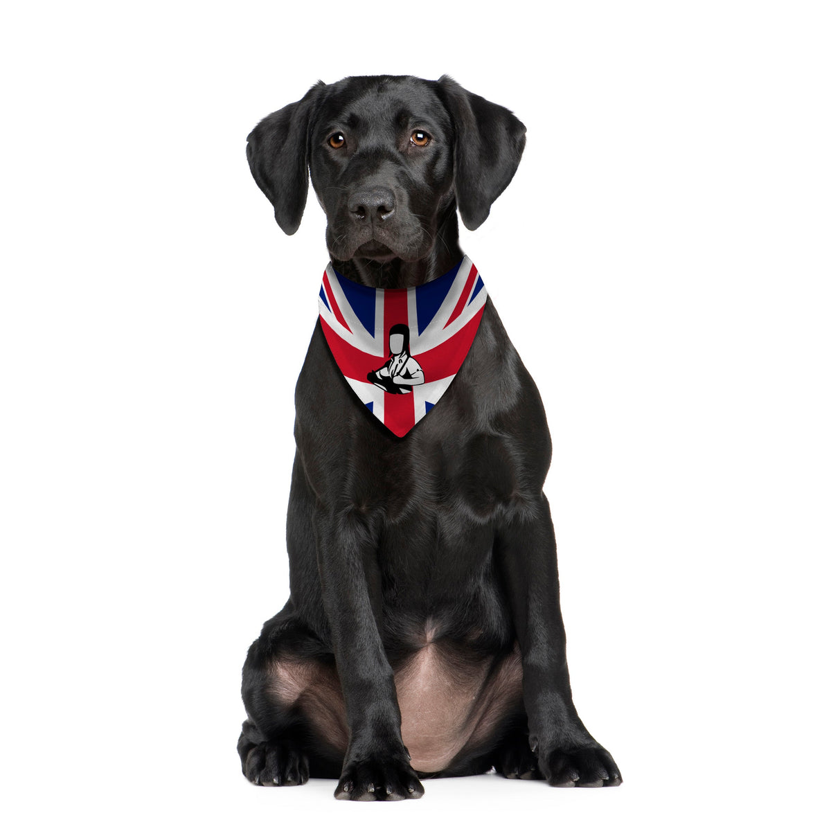 Skinhead Girl Union Jack - Dog Bandana - 4 Sizes