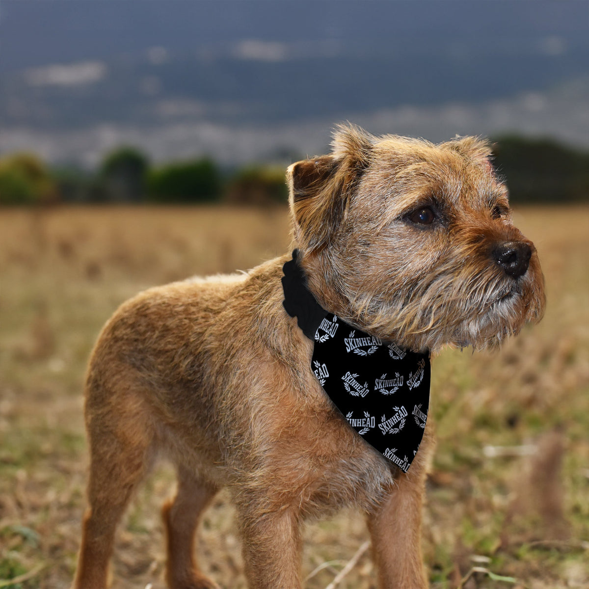 Skinhead Laurel Leaf - Dog Bandana - 4 Sizes