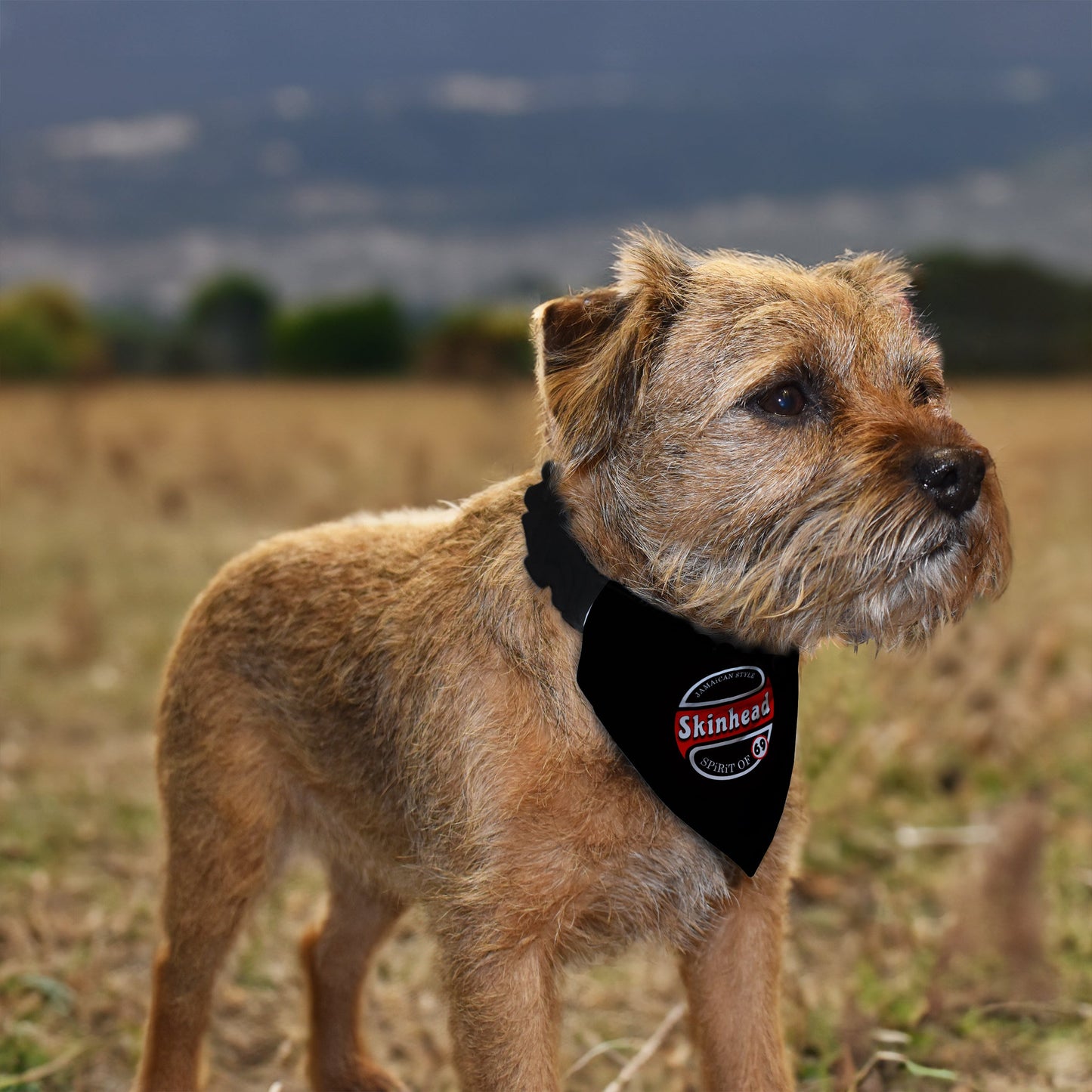 Skinhead Spirit Of 69 - Dog Bandana - 4 Sizes