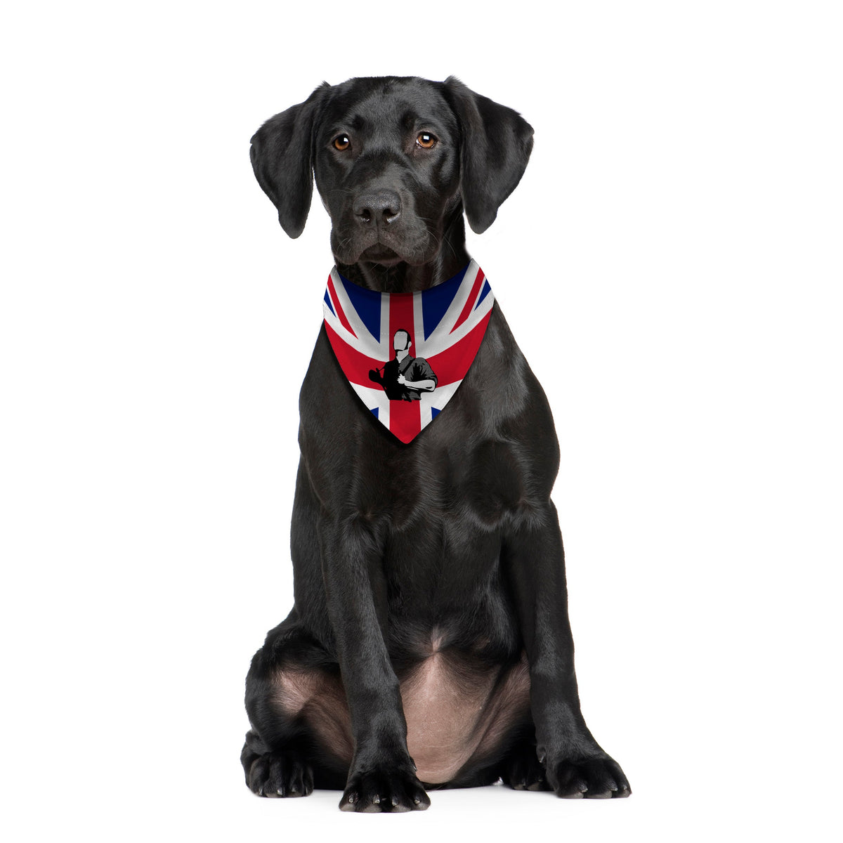 Skinhead Union Jack - Dog Bandana - 4 Sizes