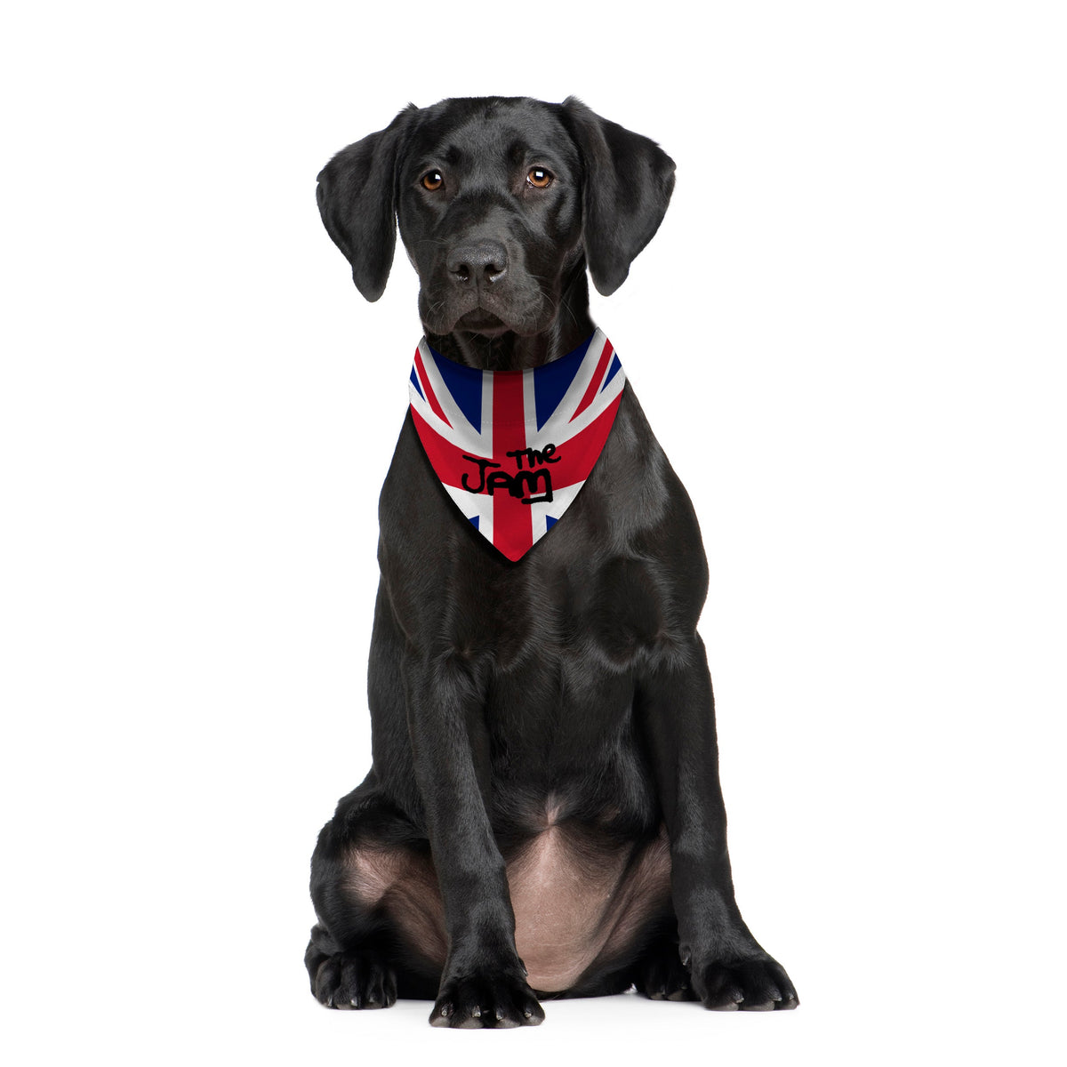 The Jam - Dog Bandana - 4 Sizes