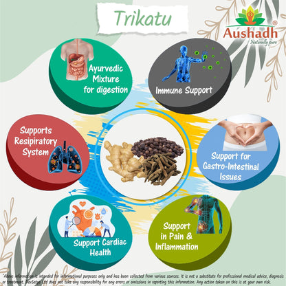Aushadh Trikatu Powder 100 gram - Digestive Comfort Support