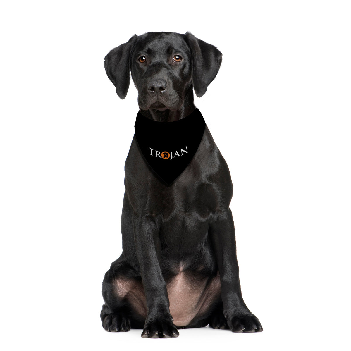 Trojan - Dog Bandana - 4 Sizes