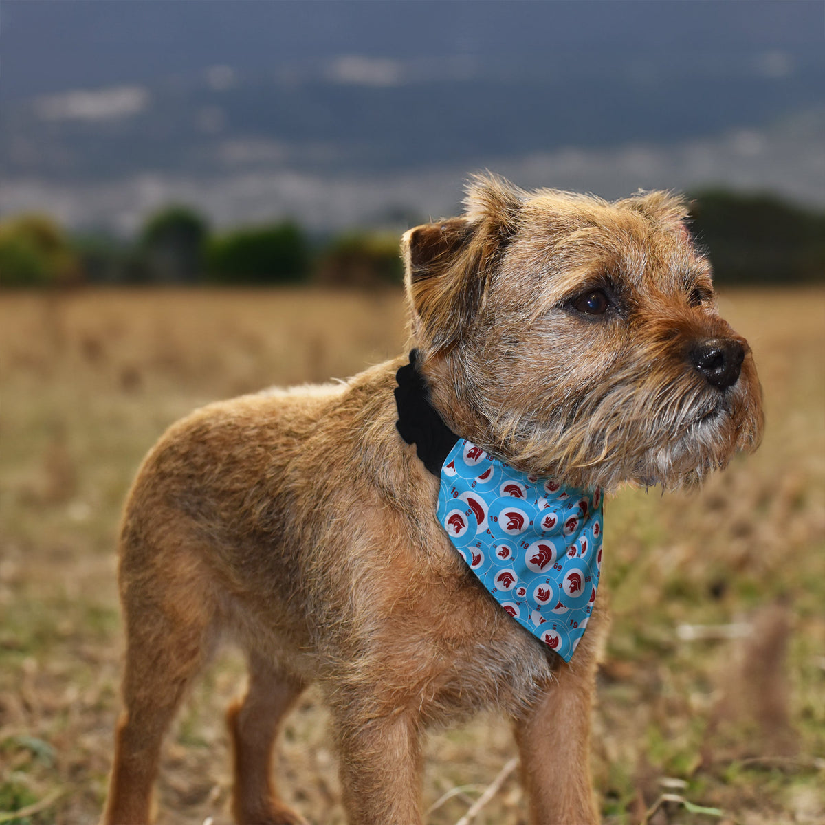 Trojan Claret & Blue - Dog Bandana - 4 Sizes