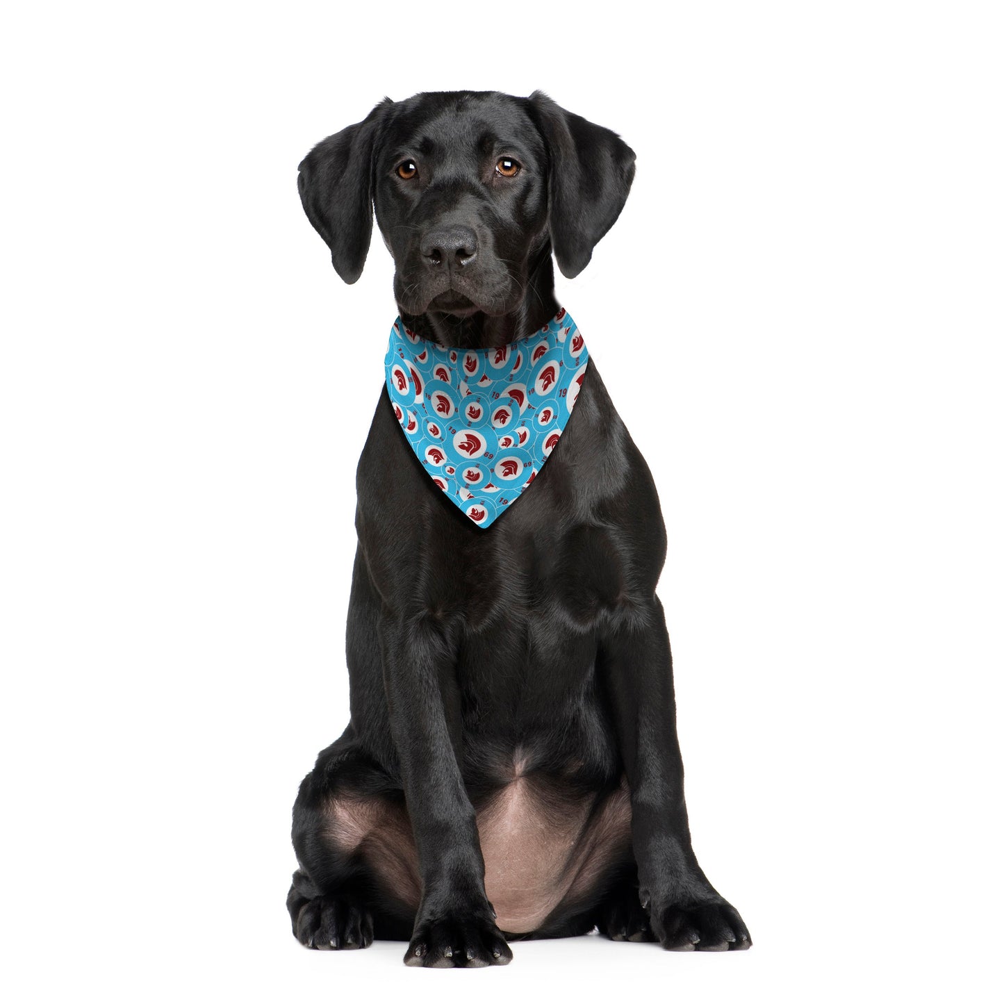Trojan Claret & Blue - Dog Bandana - 4 Sizes
