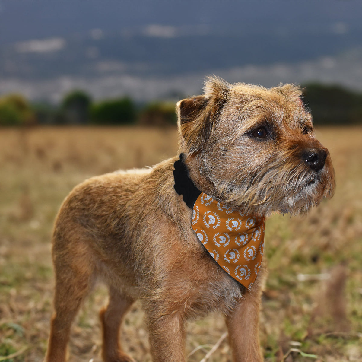 Trojan Laurel Leaf - Dog Bandana - 4 Sizes
